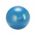 Gymnic Plus kamuolys 65