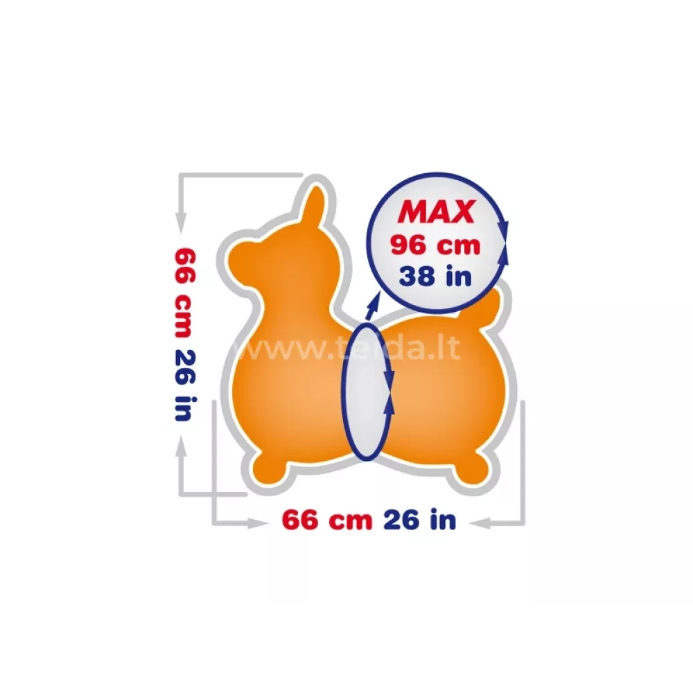 Gymnic© Pripučiamas arkliukas Rody Max