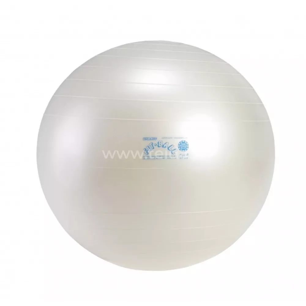Fit Ball kamuolys 55