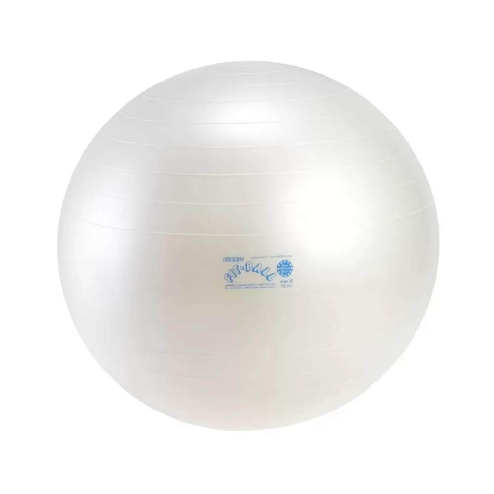 Fit Ball kamuolys