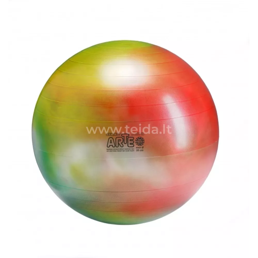 Gymnic Arte kamuolys 55