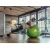 Gymnic Plus kamuolys 65 žalias