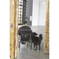 Invacare Mx1 Back,45,5x40.5h