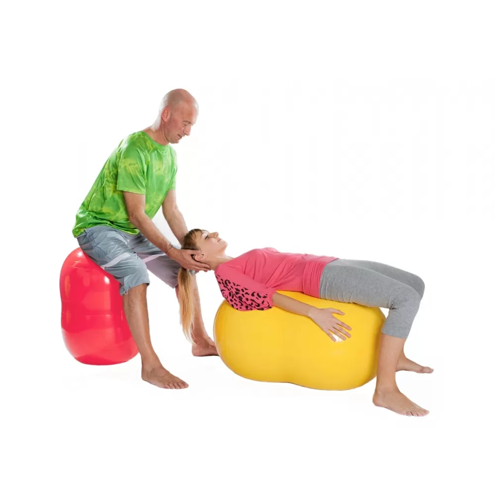 Dvigubas kamuolys Physio Roll 40