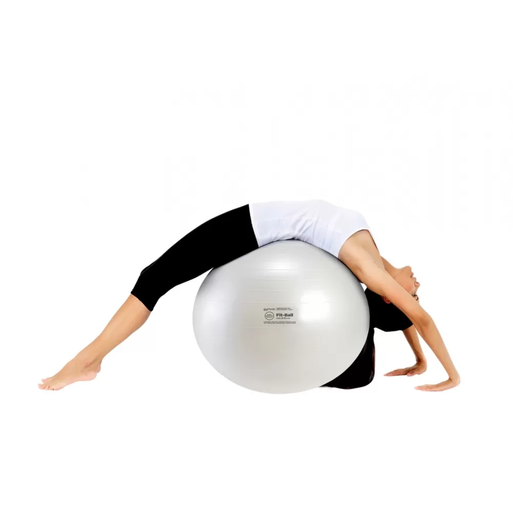 Fit Ball kamuolys 55