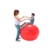 Physio Gymnic kamuolys 95 cm