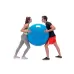 Physio Gymnic kamuolys 95 cm