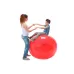 Physio Gymnic kamuolys 95 cm