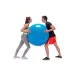 Physio Gymnic kamuolys 95 cm