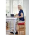 SISSEL® SITFIT® Plus sėdėjimo pagalvėlė, raudona