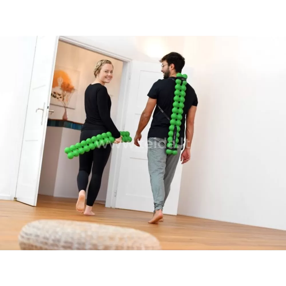 SISSEL® Spinefitter treniruoklis