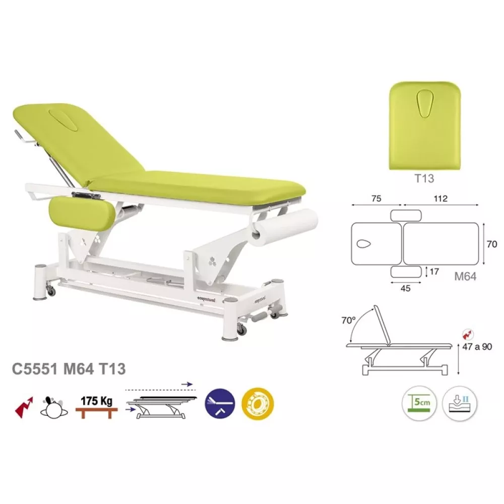 Elektrinis 2-jų dalių masažo (terapinis) stalas C5551