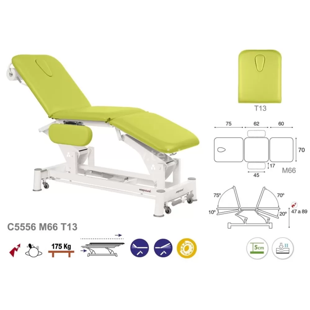 Elektrinis 3-jų dalių masažo (terapinis) stalas C5556M66, 70x198 cm, T13 galvos atrama
