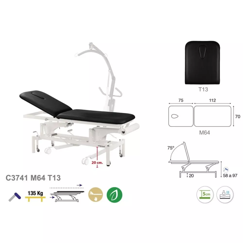 Hidraulinis 2-jų dalių masažo (terapinis) stalas C3741
