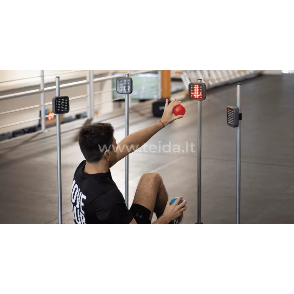 Kognityvinių funkcijų treniruoklis Neural Trainer, 4 moduliai