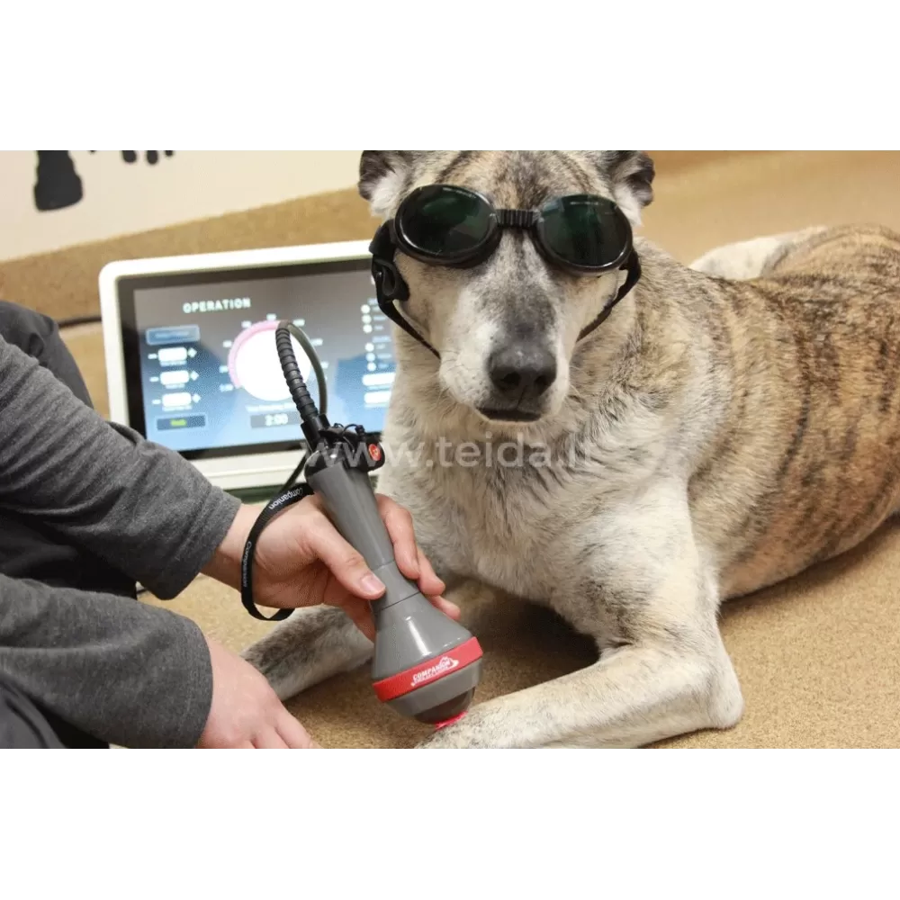 Lazerio terapijos aparatas CTX-10 Watt veterinarijai