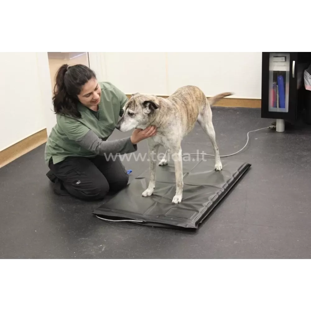 Veterinarinis laikysenos analizatorius Stance Analyzer