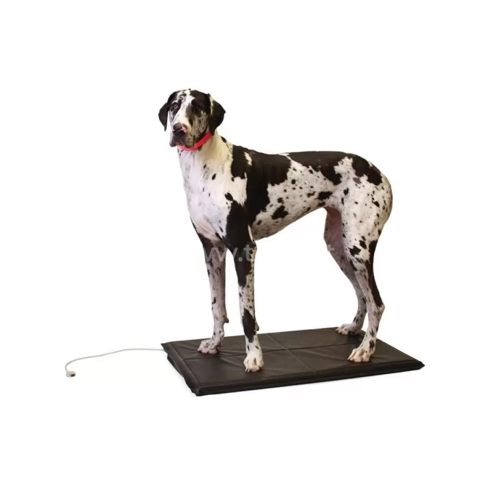 Veterinarinis laikysenos analizatorius Stance Analyzer