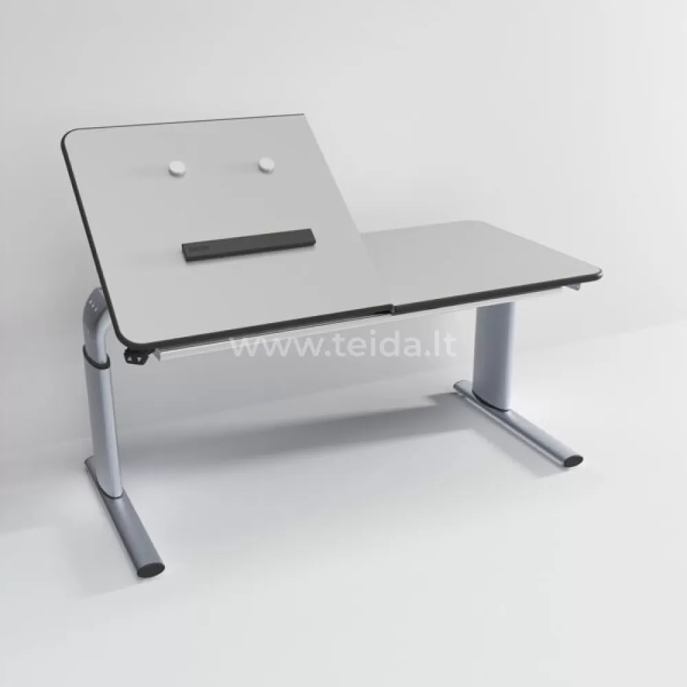 Ergoterapinis stalas Ropox Vision, 120x60 cm reg. aukštis elektriniu būdu