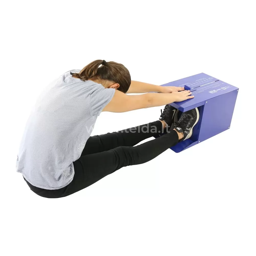 Lankstumo įvertinimo dėžė Baseline