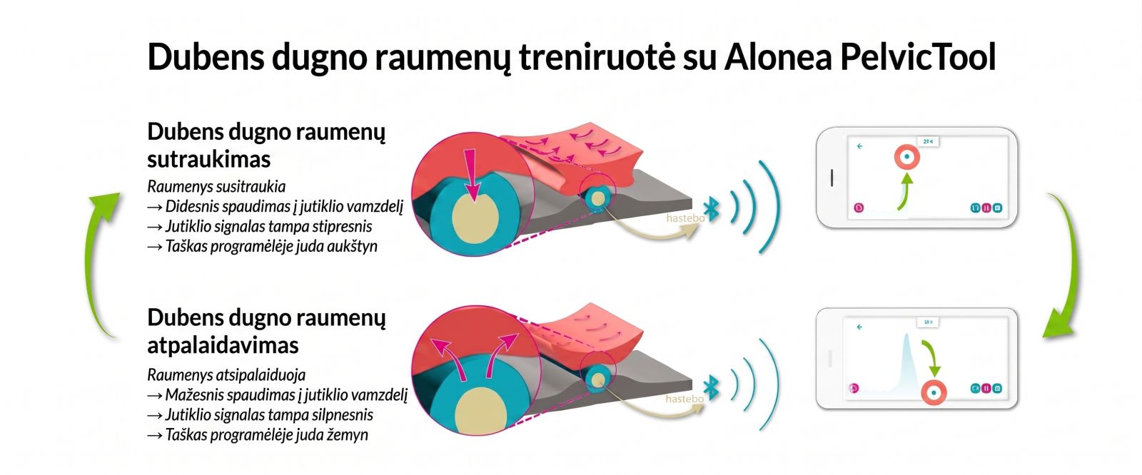 Dubens dugno raumenų treniravimas su Alonea Pelvictool