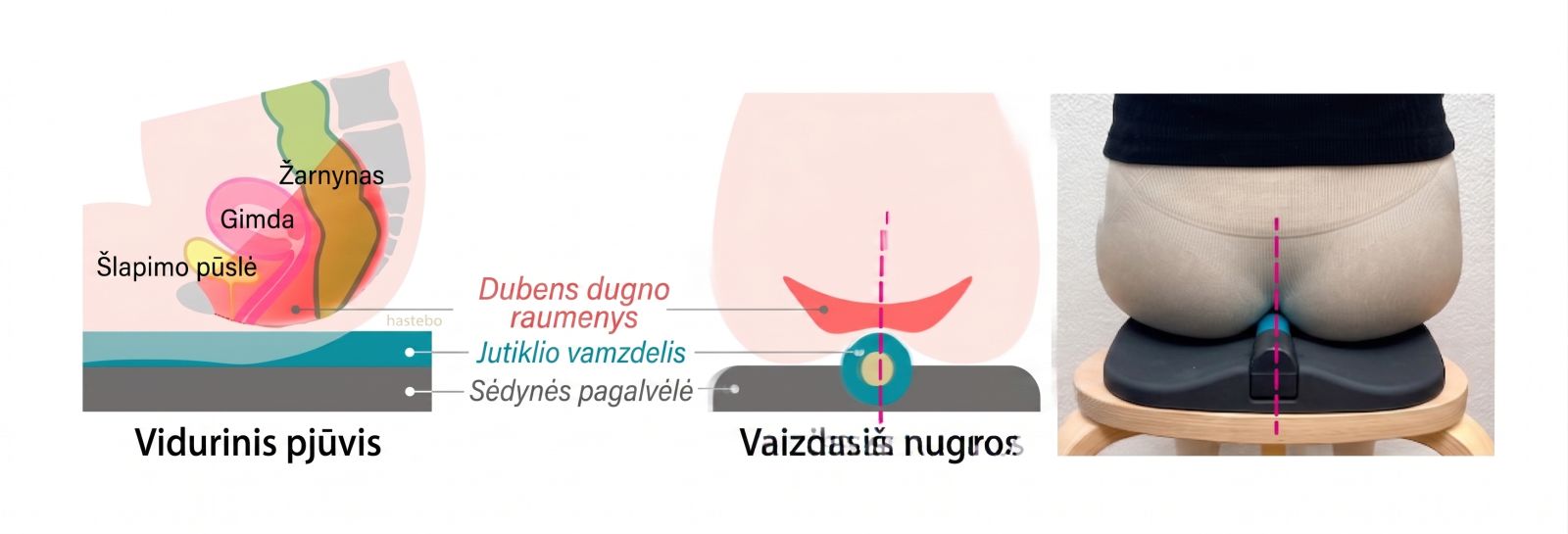Kaip teisingai atsisėsti ant Alonea PelvicToll dubens treniruoklio?
